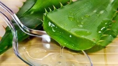 aloe pikeun nambahan poténsial lalaki