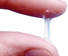 Naon sékrési lalaki sapertos kitu