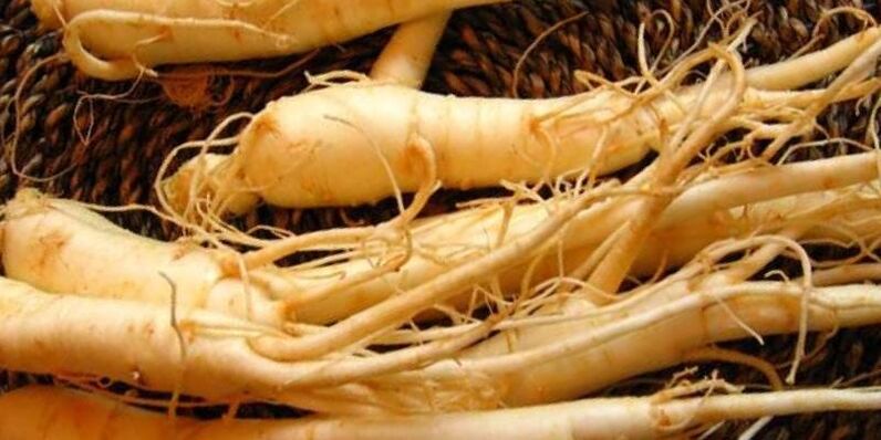 akar ginseng pikeun ngaronjatkeun potency